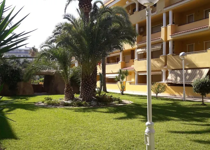 Penthouse, And Pools دينايا